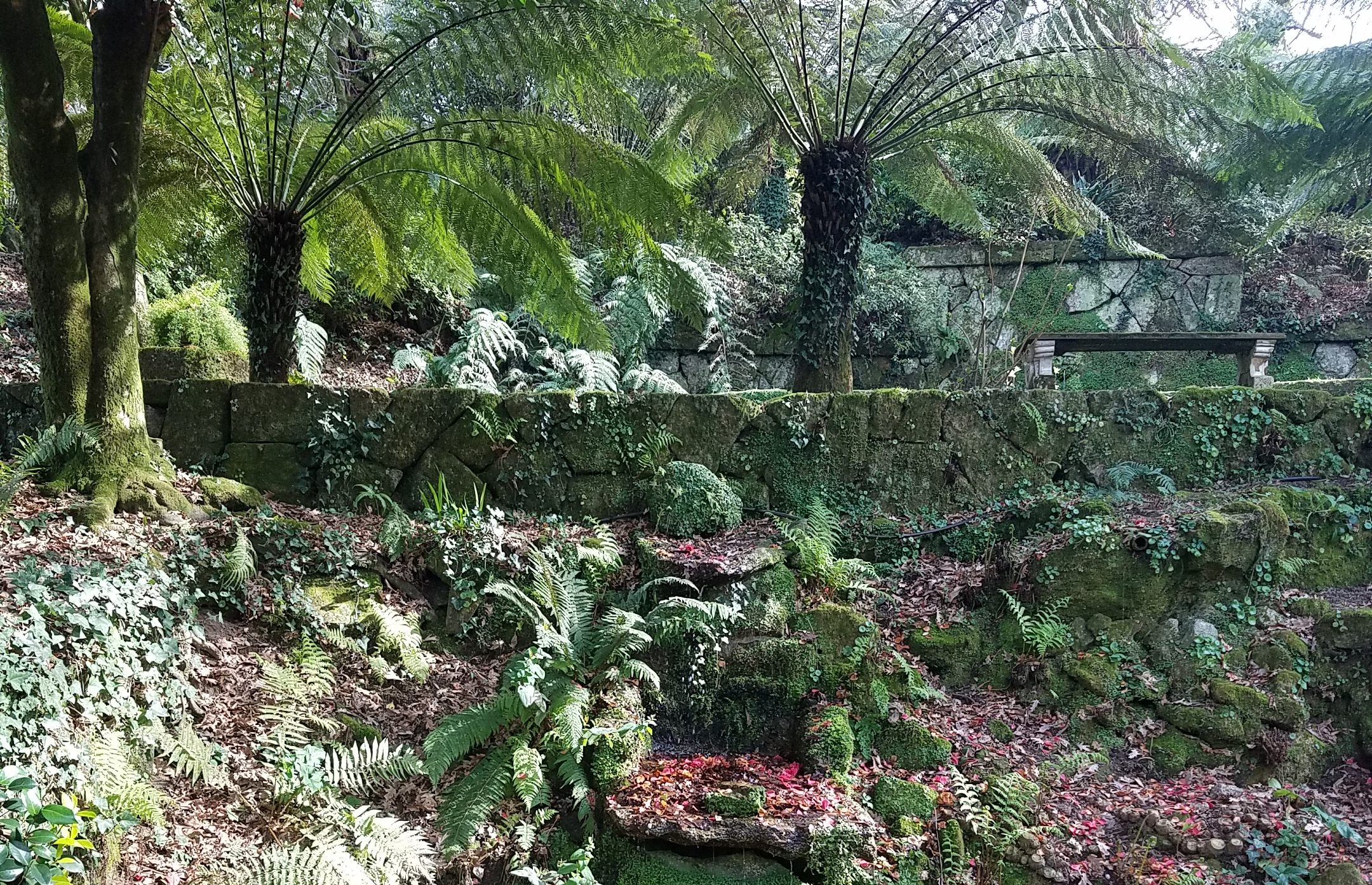 The gardens at Aveleda